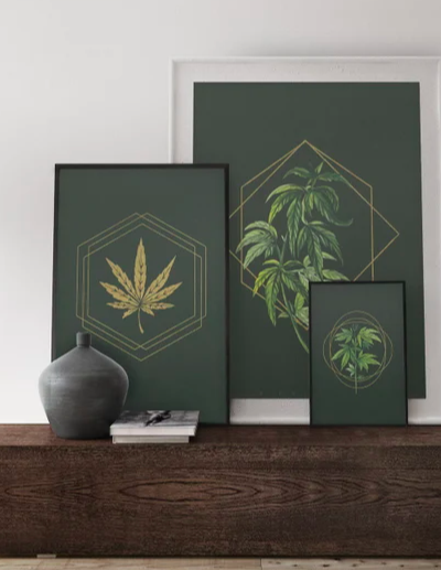 3 posters with cannabis leaves on a black background